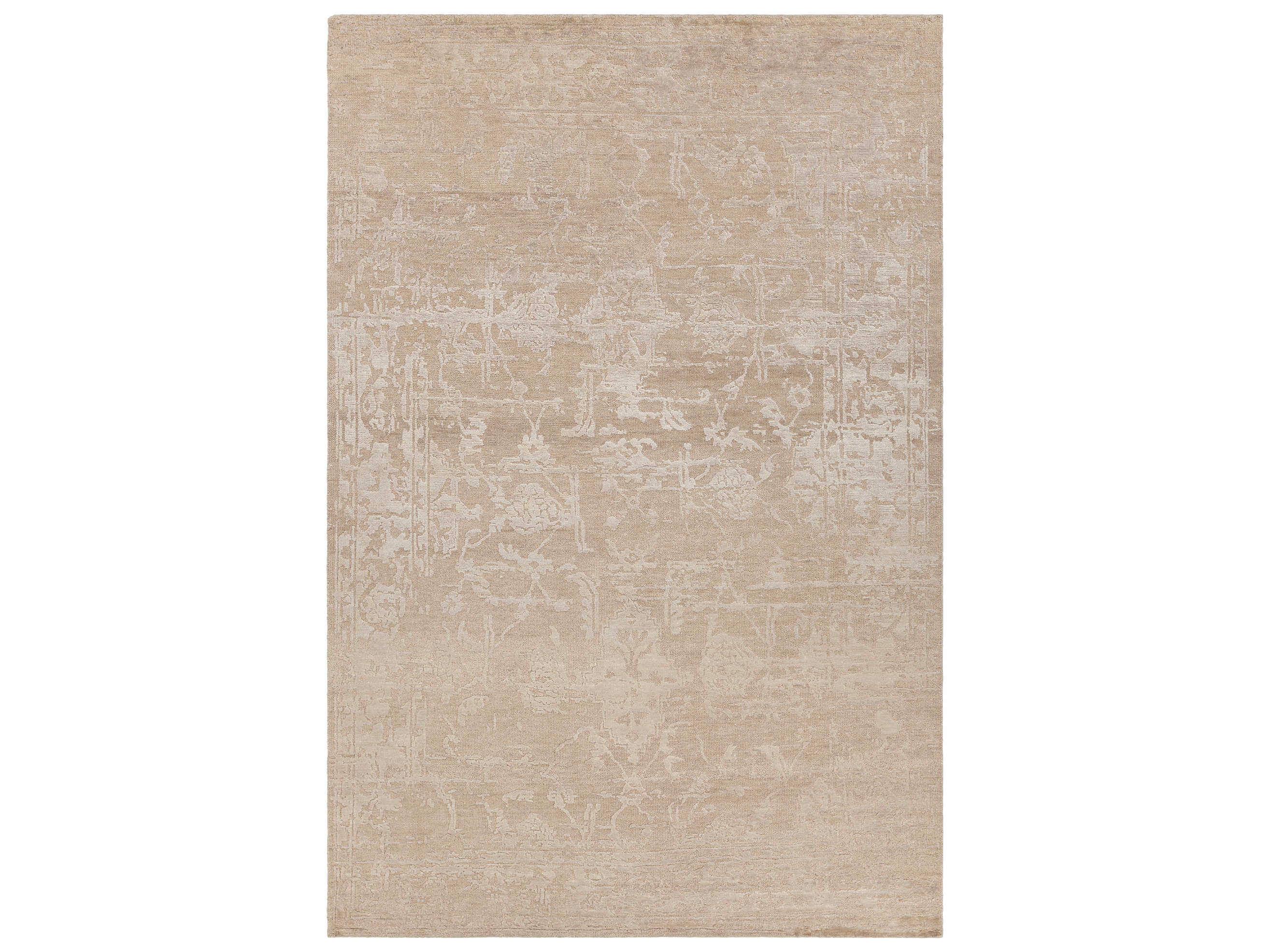 Chandra Sasha Bordered Area Rug