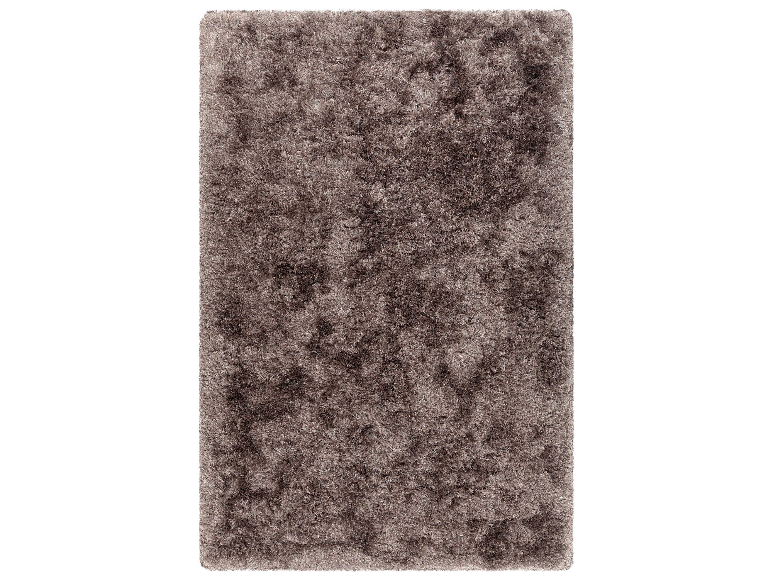 Chandra Teagan Shag Area Rug