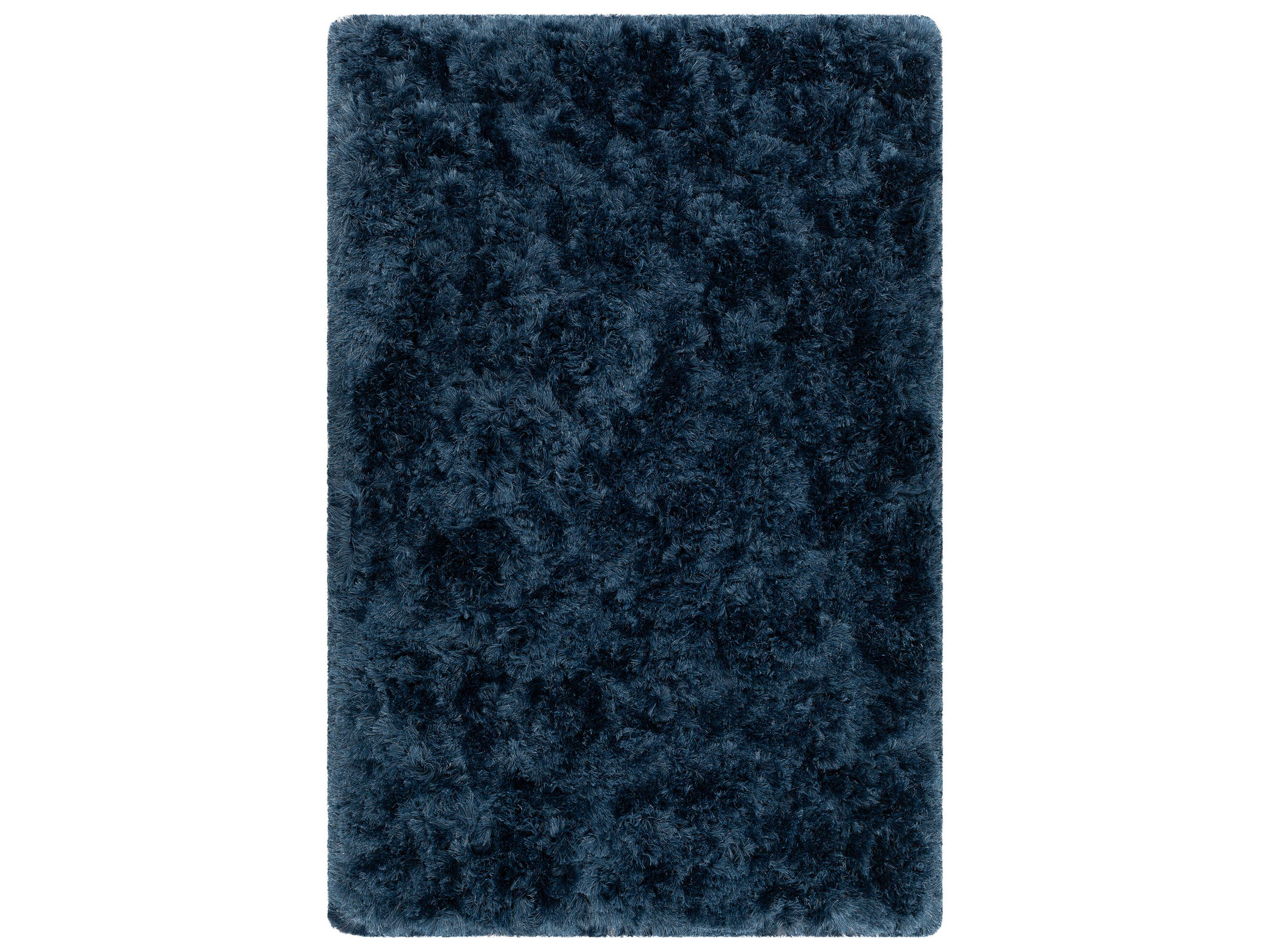 Chandra Teagan Shag Area Rug