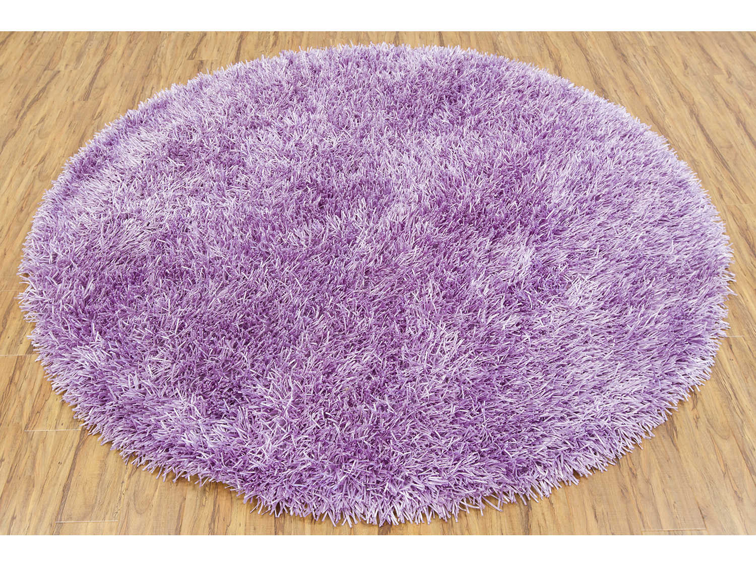 Chandra Tirish Shag Area Rug