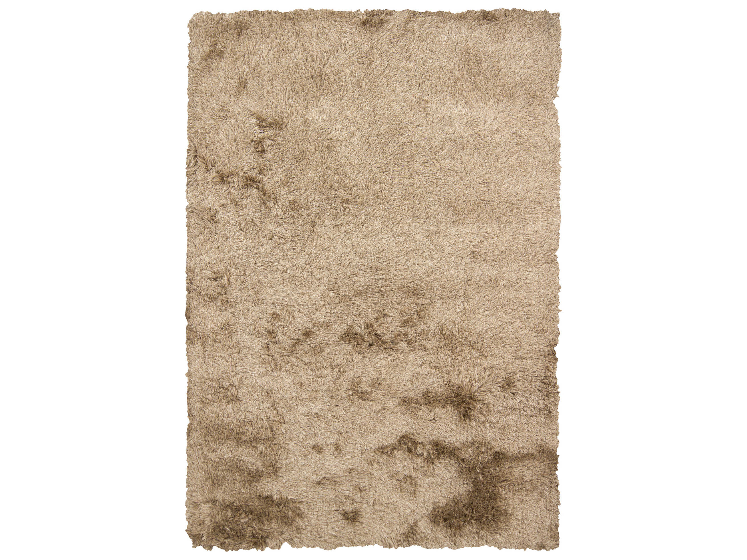 Chandra Vani Shag Area Rug