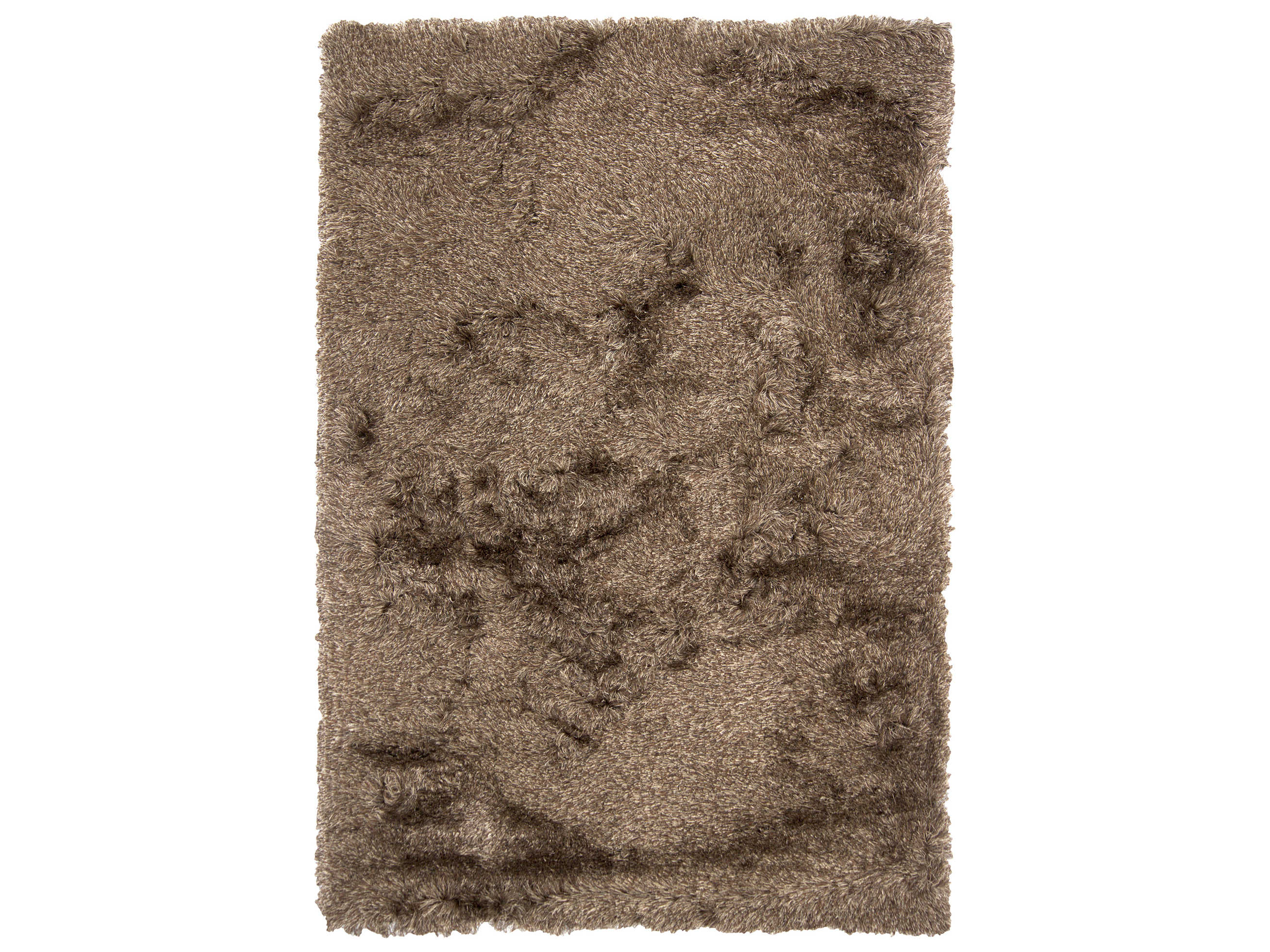 Chandra Vani Shag Area Rug