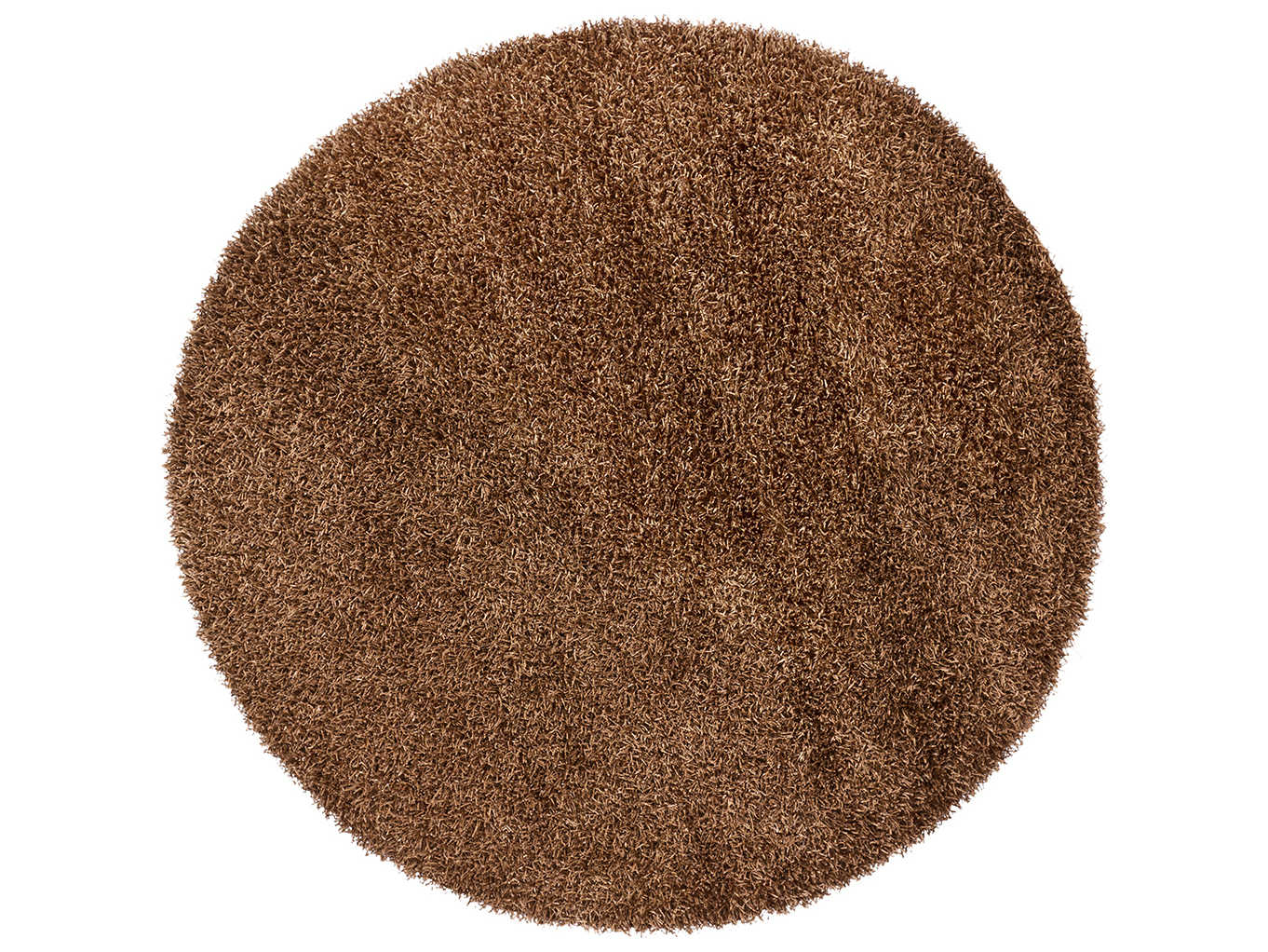 Chandra Zara Shag Area Rug