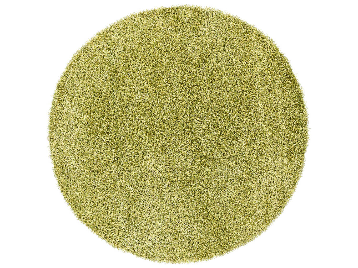 Chandra Zara Shag Area Rug