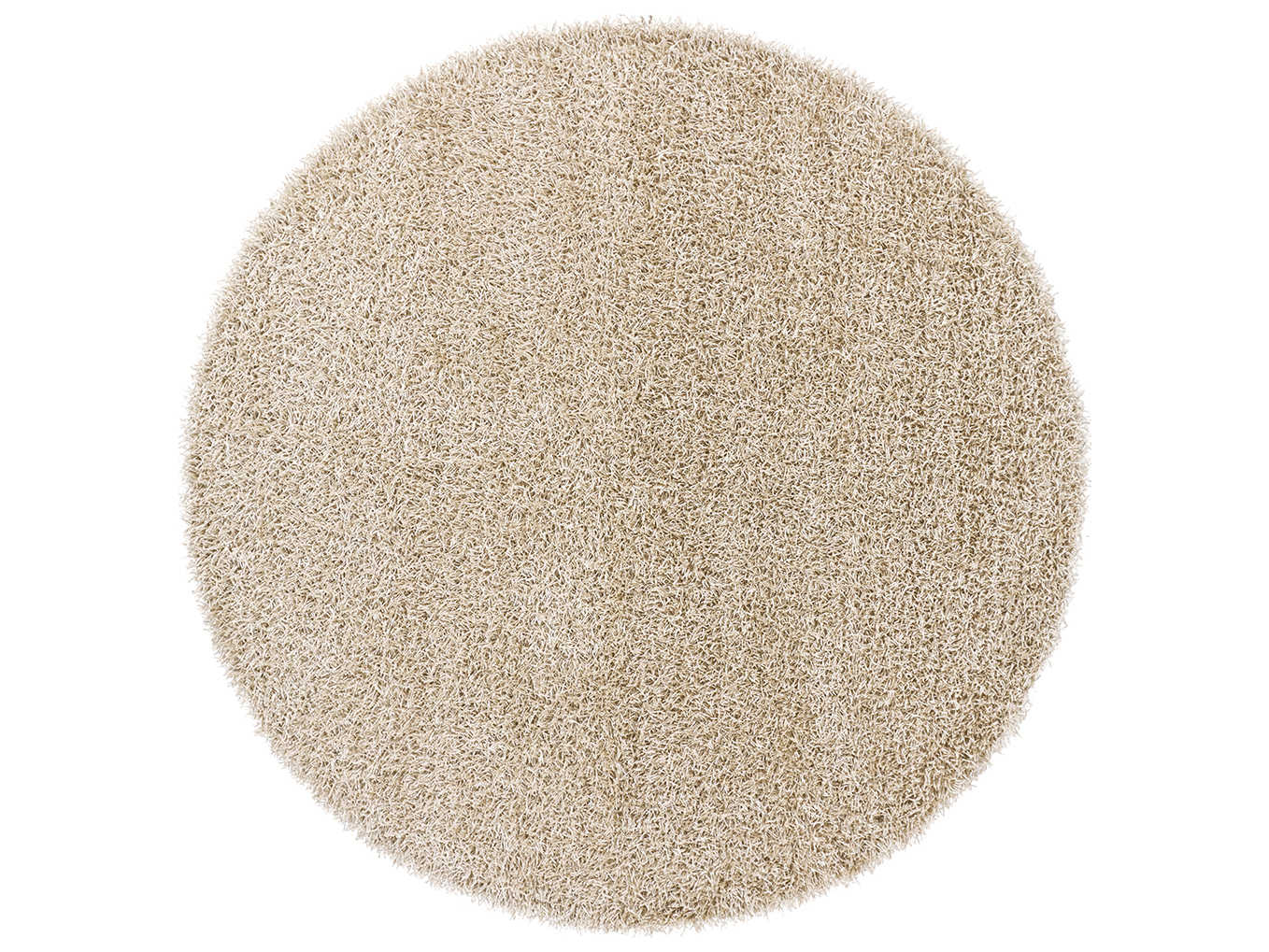 Chandra Zara Shag Area Rug