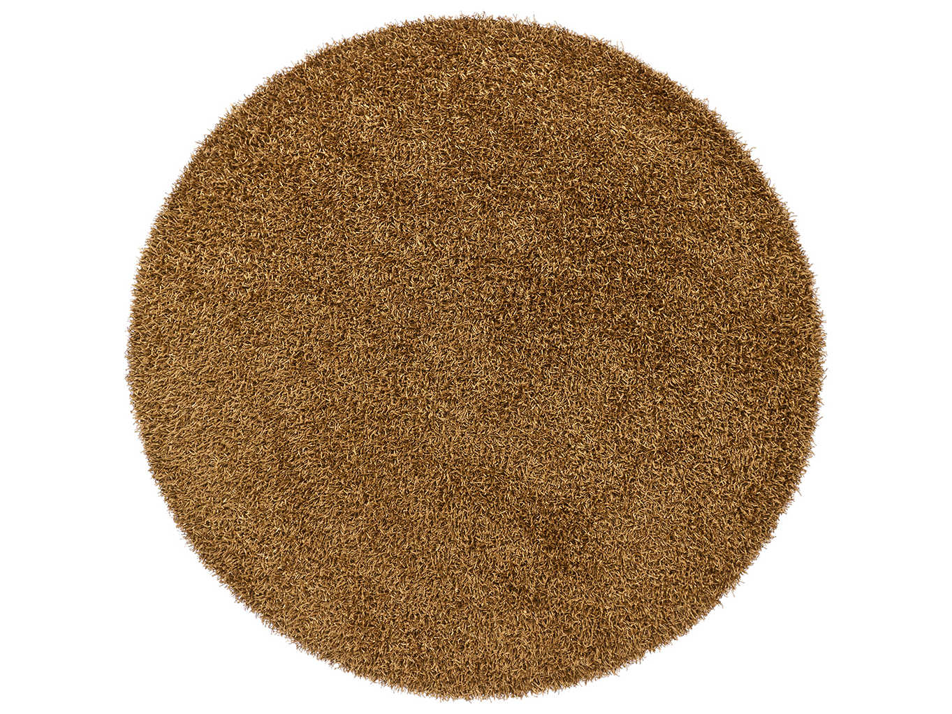 Chandra Zara Shag Area Rug