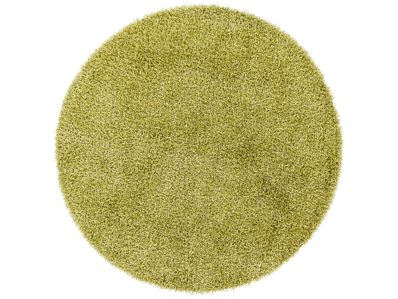 Chandra Zara Shag Area Rug