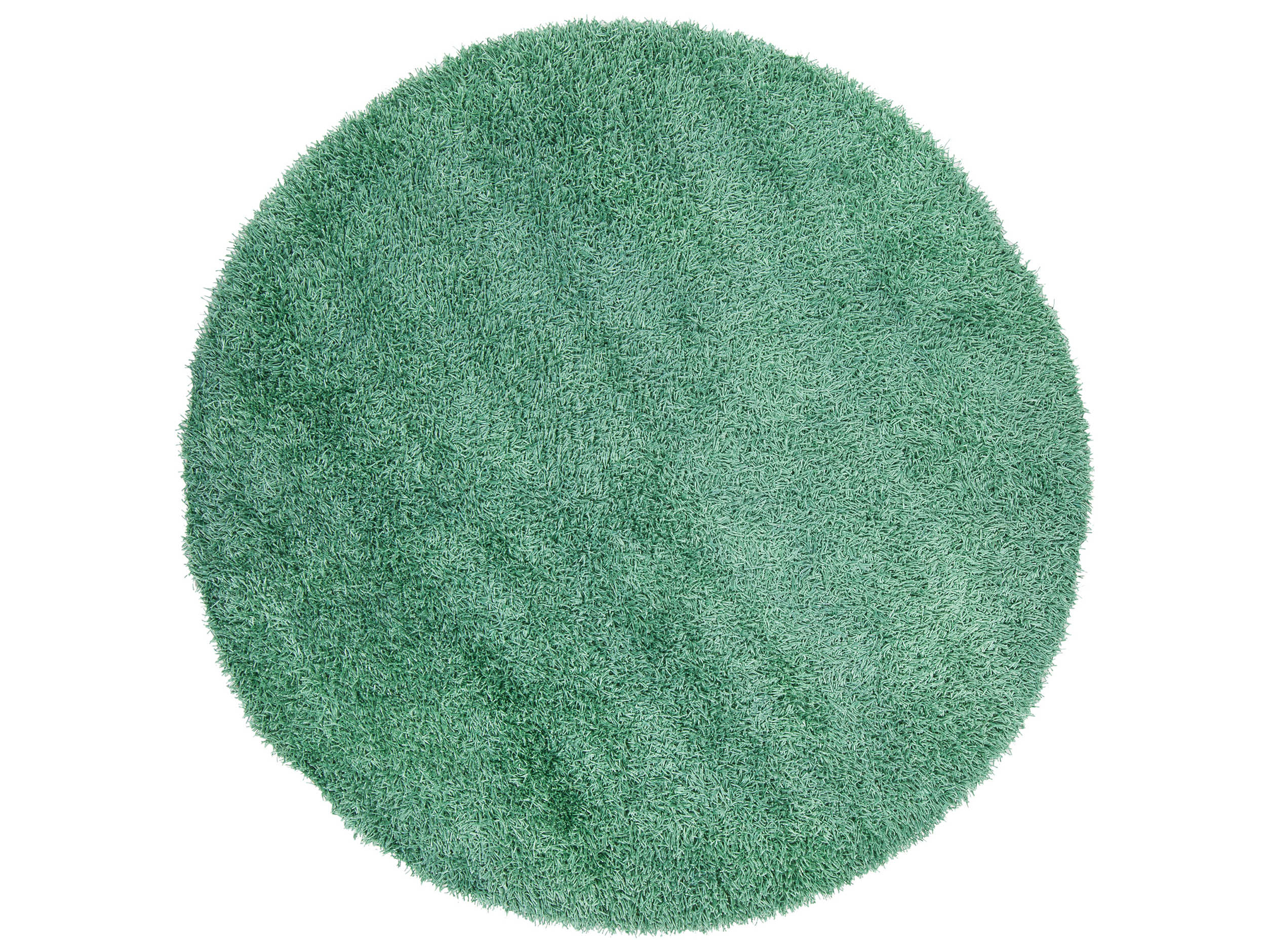 Chandra Zara Shag Area Rug