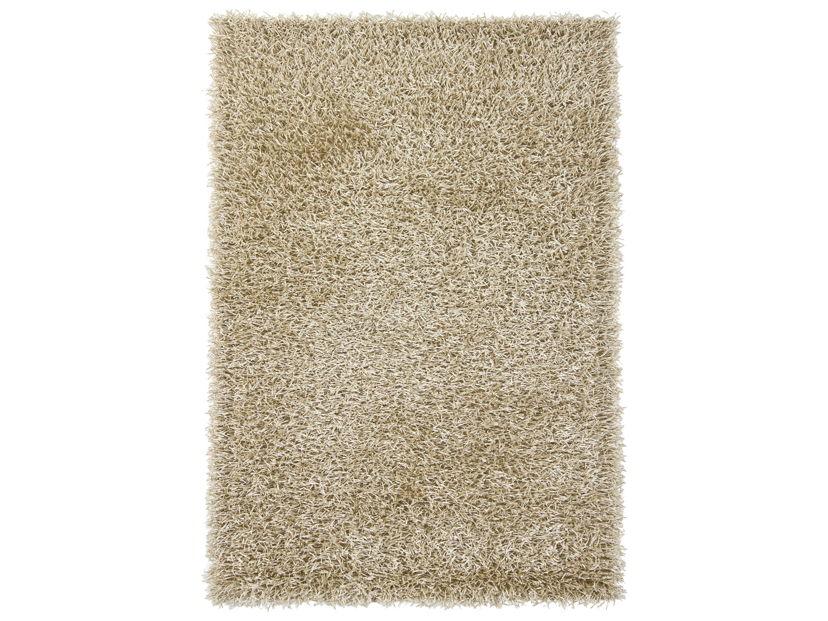 Chandra Zara Shag Area Rug