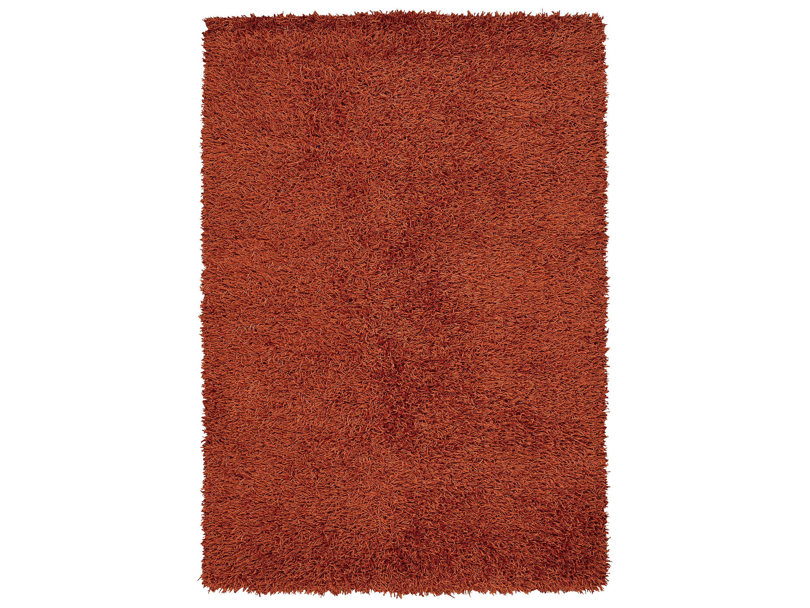 Chandra Zara Shag Area Rug