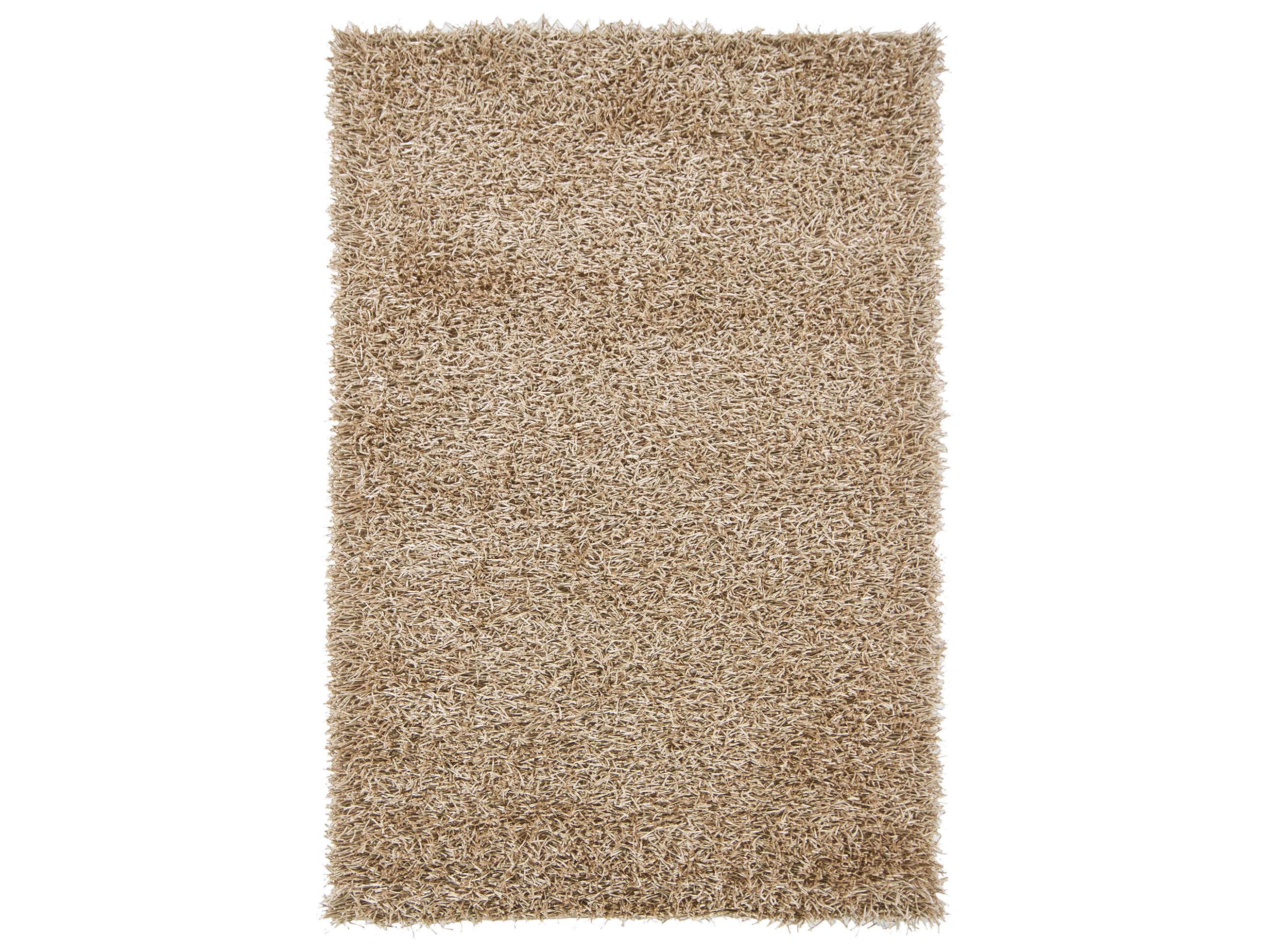 Chandra Zara Shag Area Rug