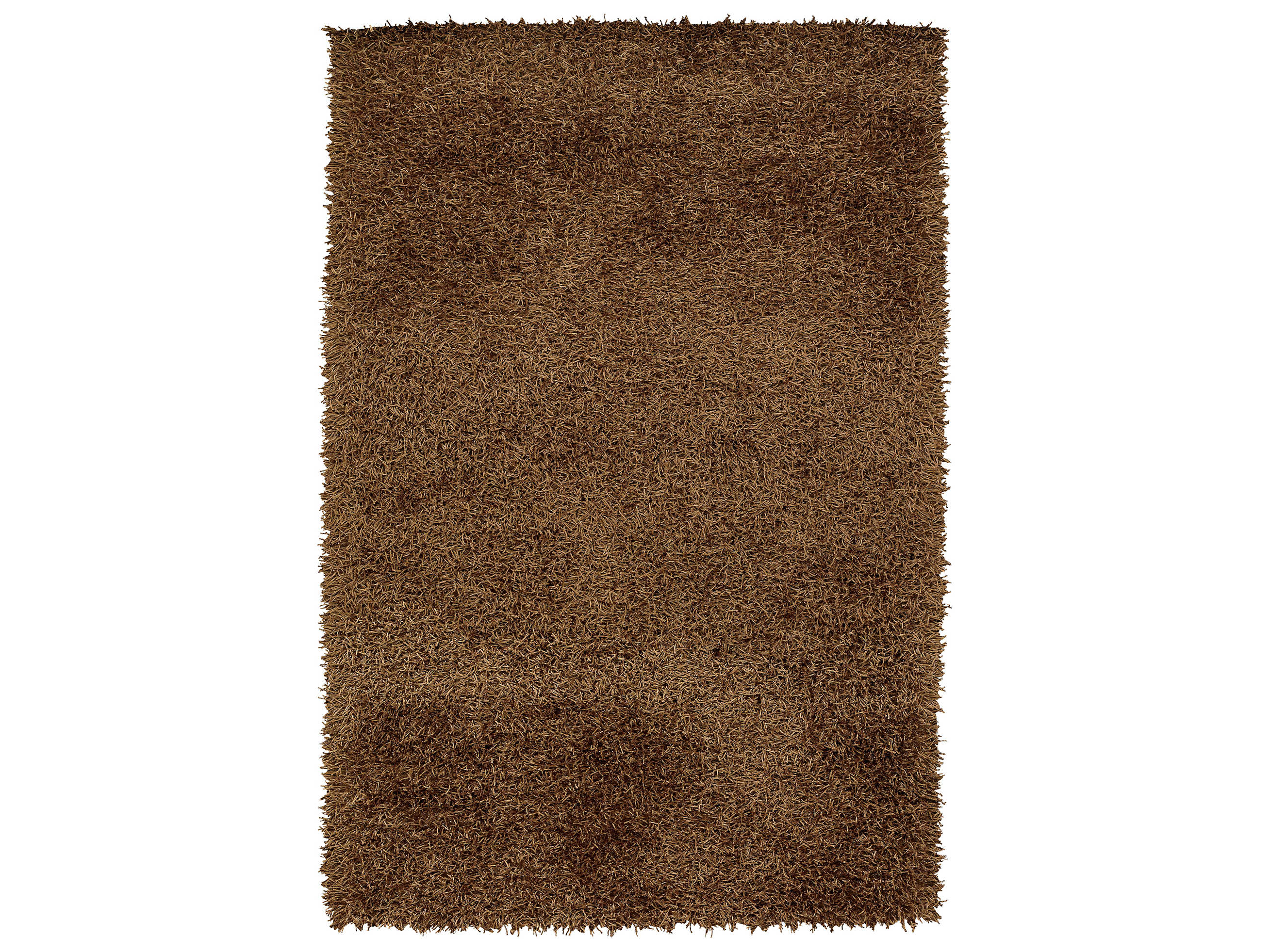 Chandra Zara Shag Area Rug