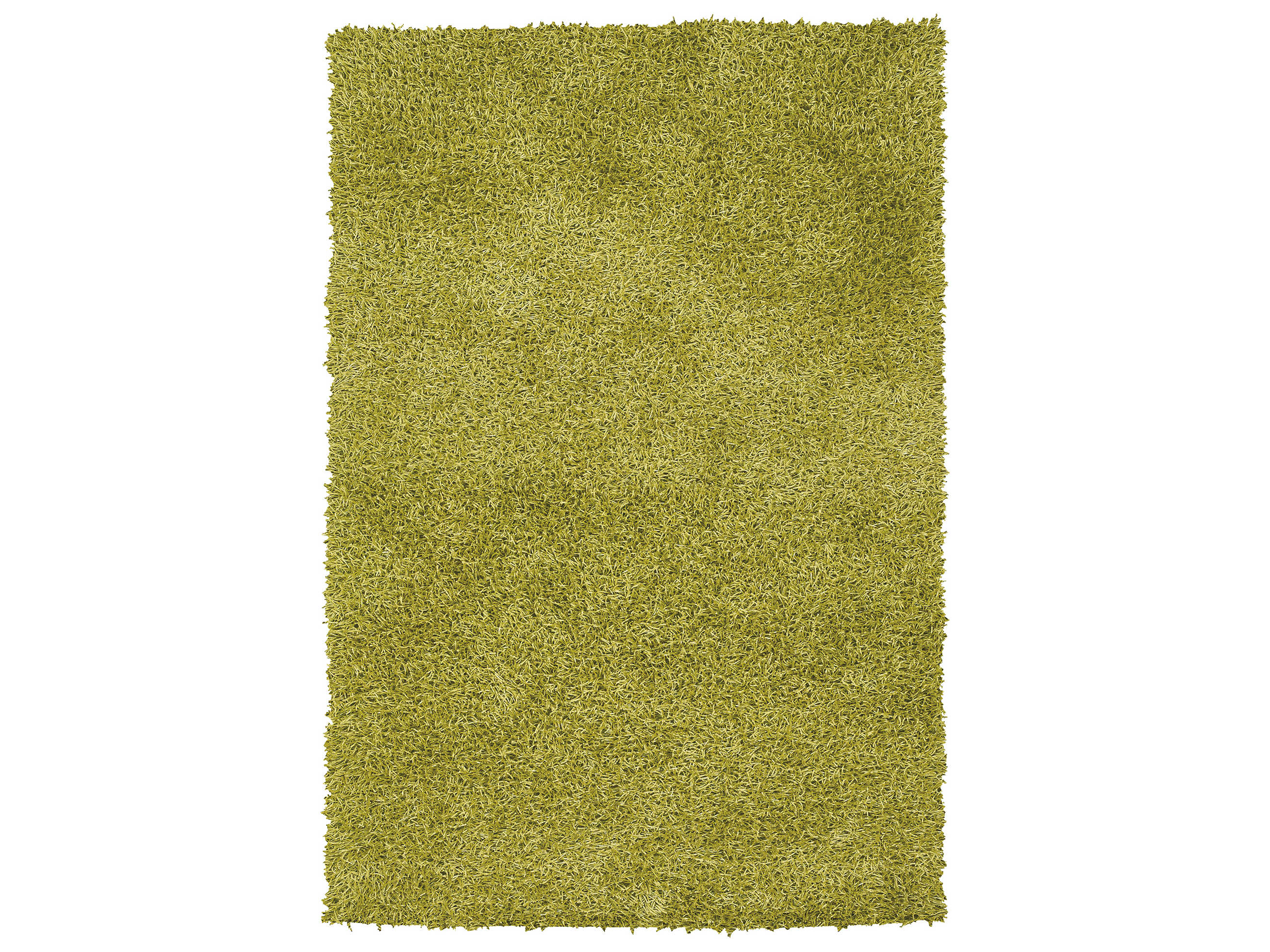 Chandra Zara Shag Area Rug