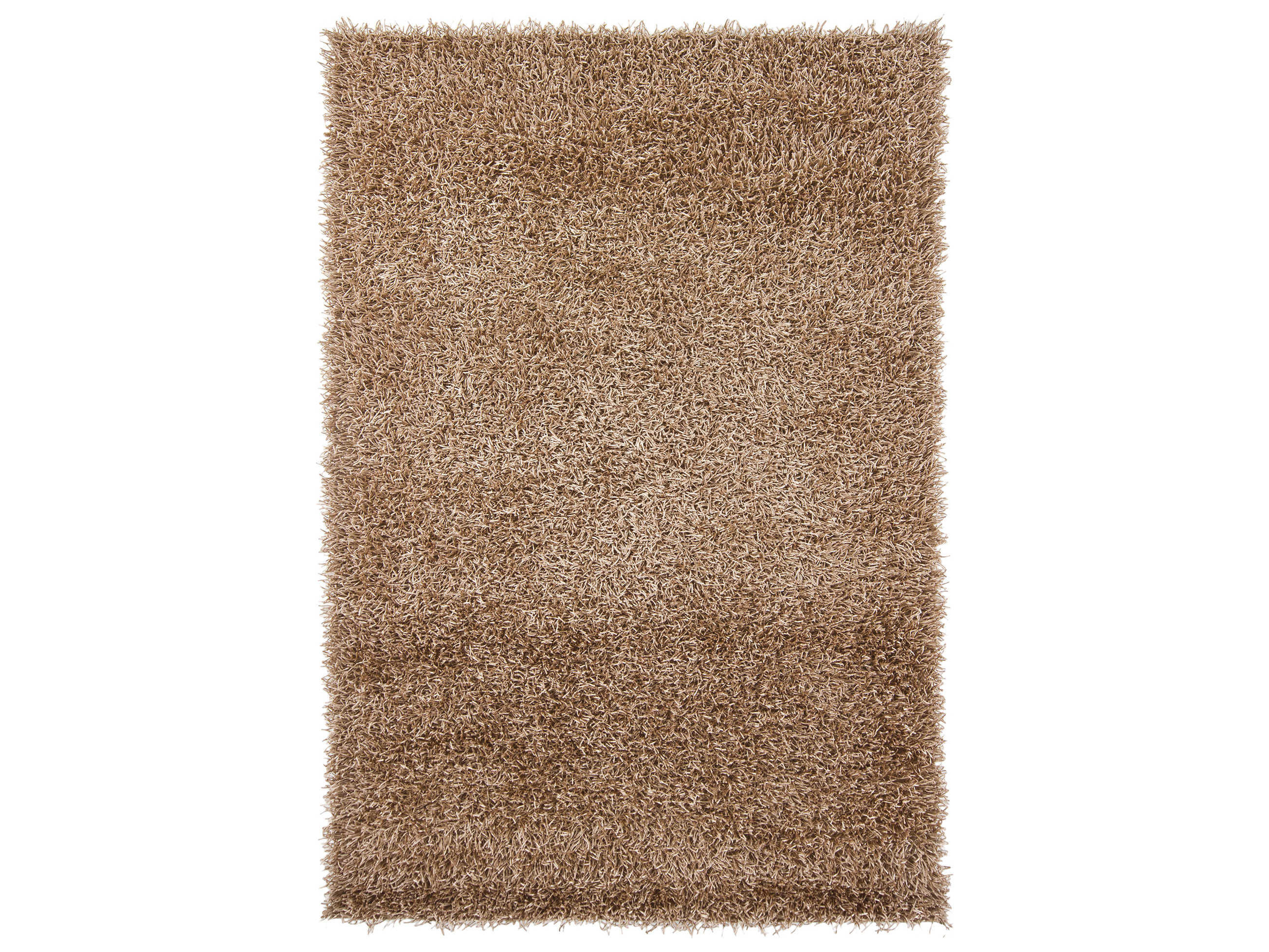 Chandra Zara Shag Area Rug