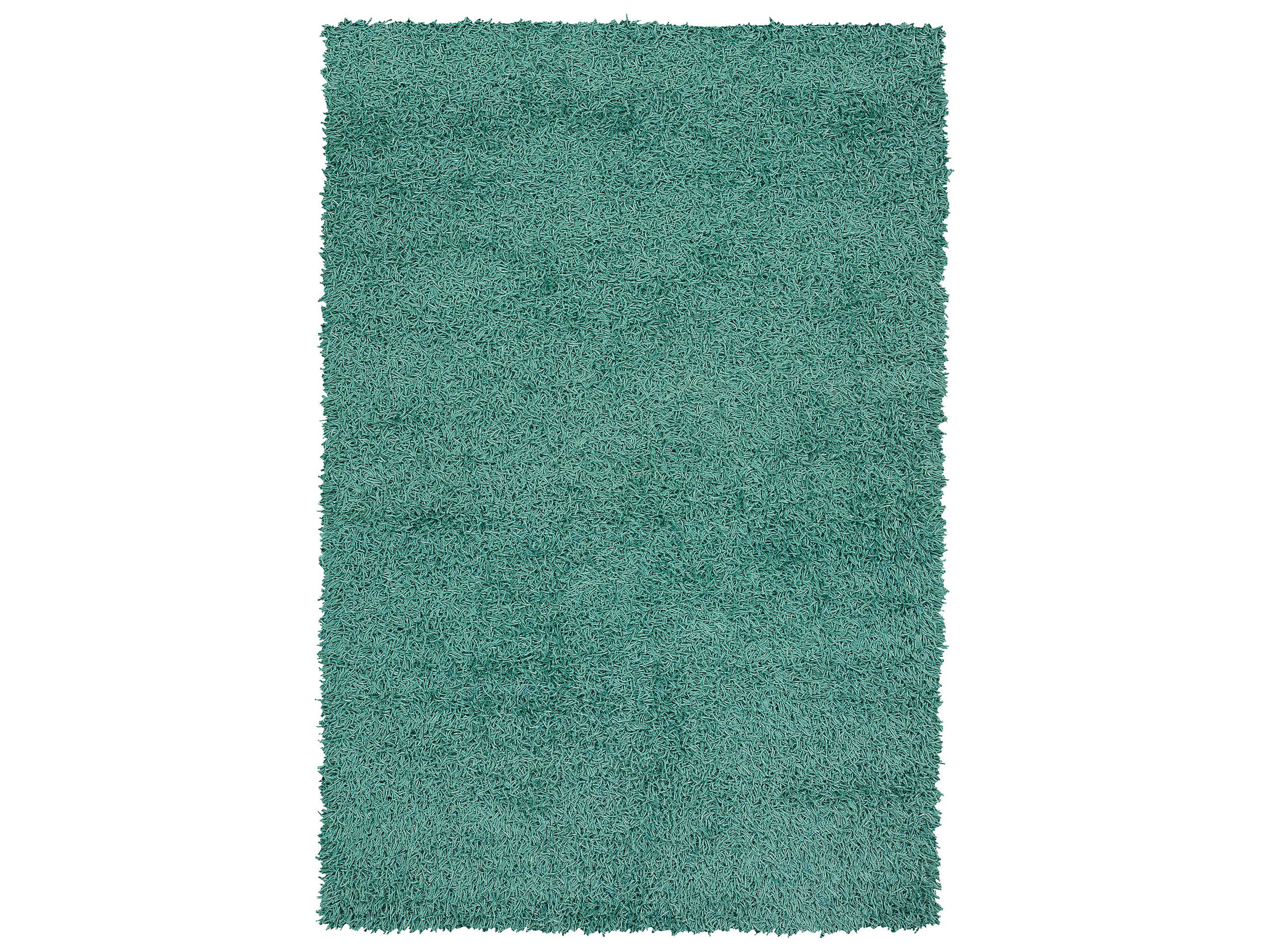 Chandra Zara Shag Area Rug