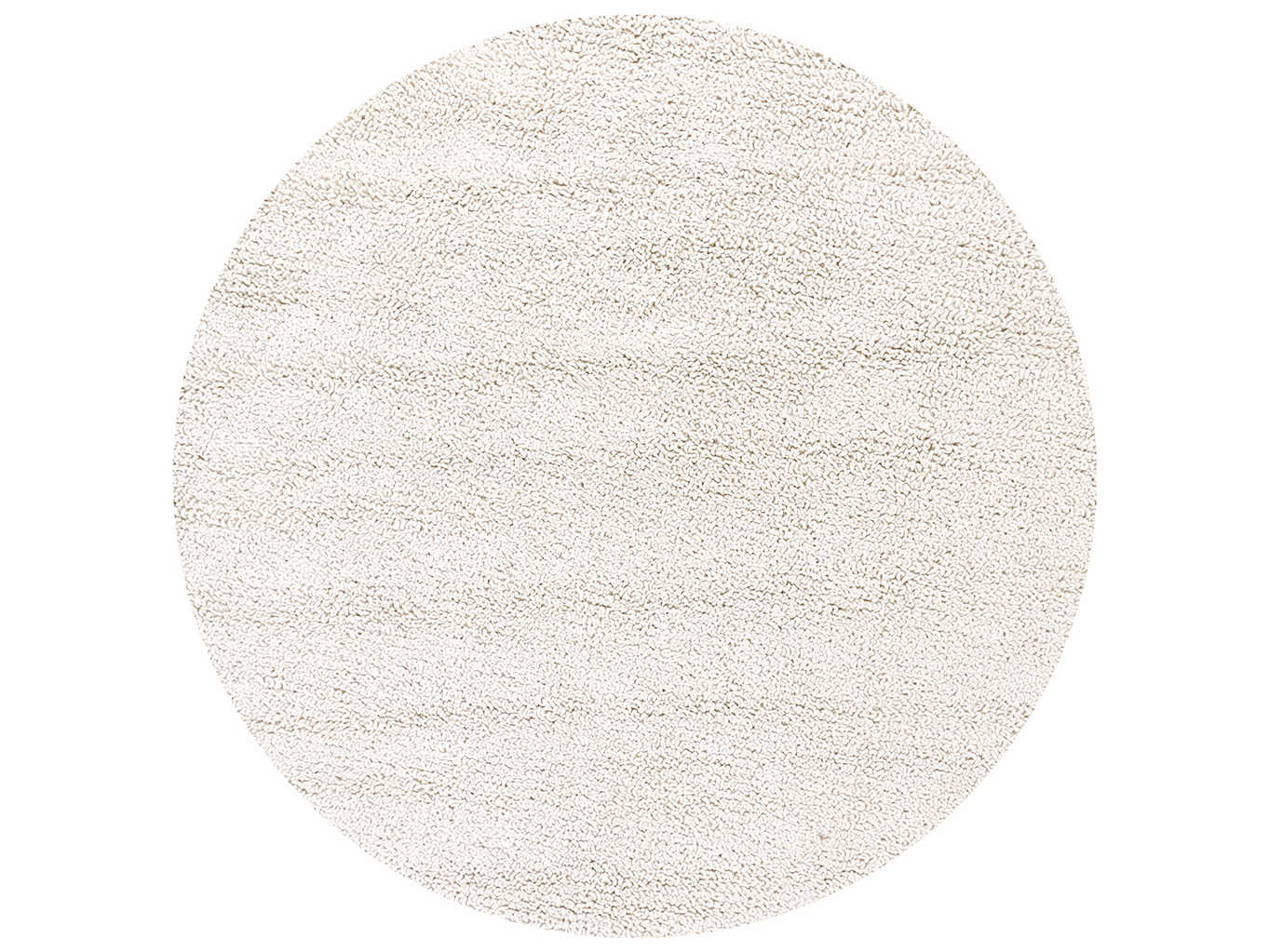 Chandra Zeal Shag Area Rug