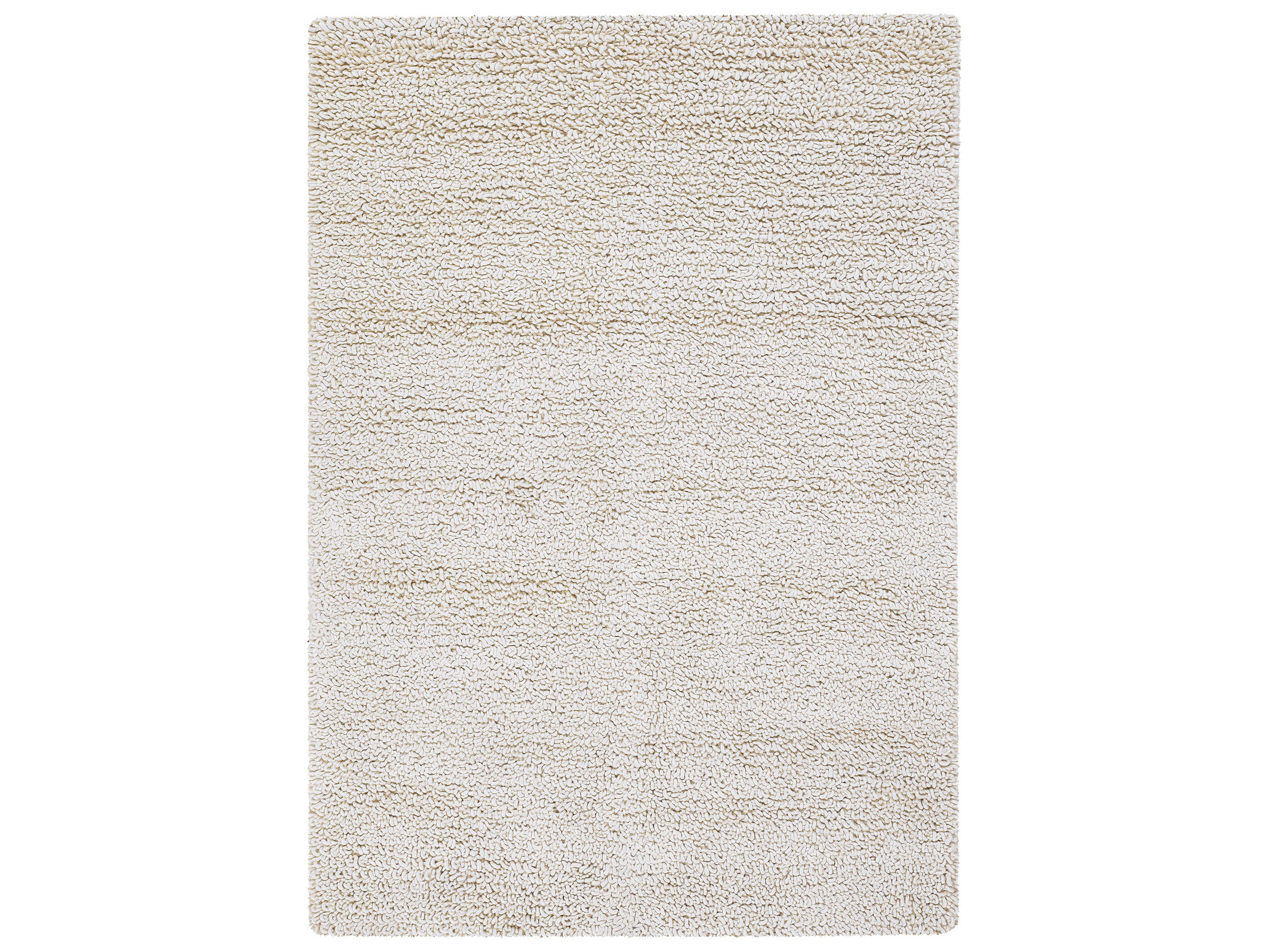 Chandra Zeal Shag Area Rug