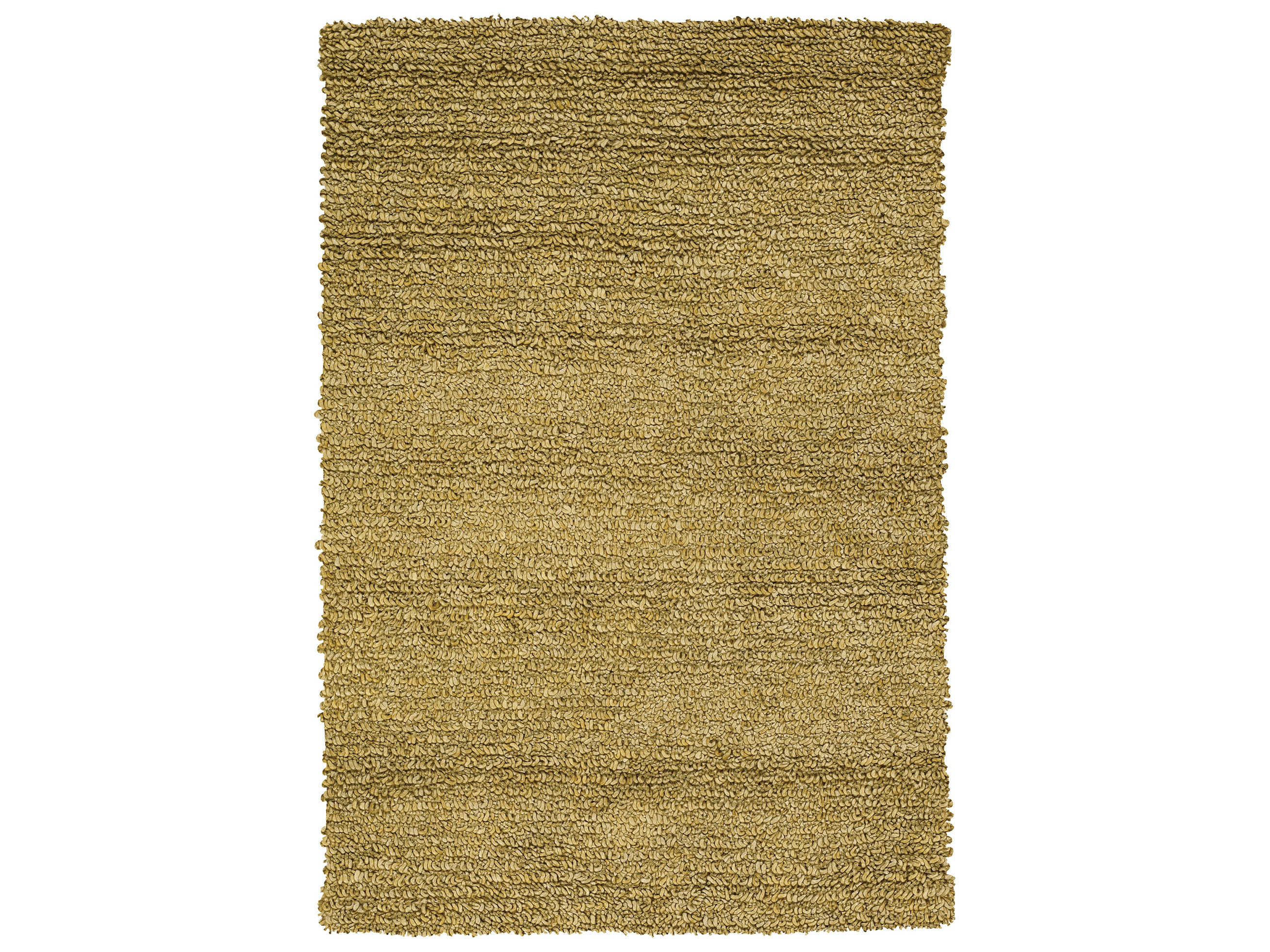 Chandra Zeal Shag Area Rug
