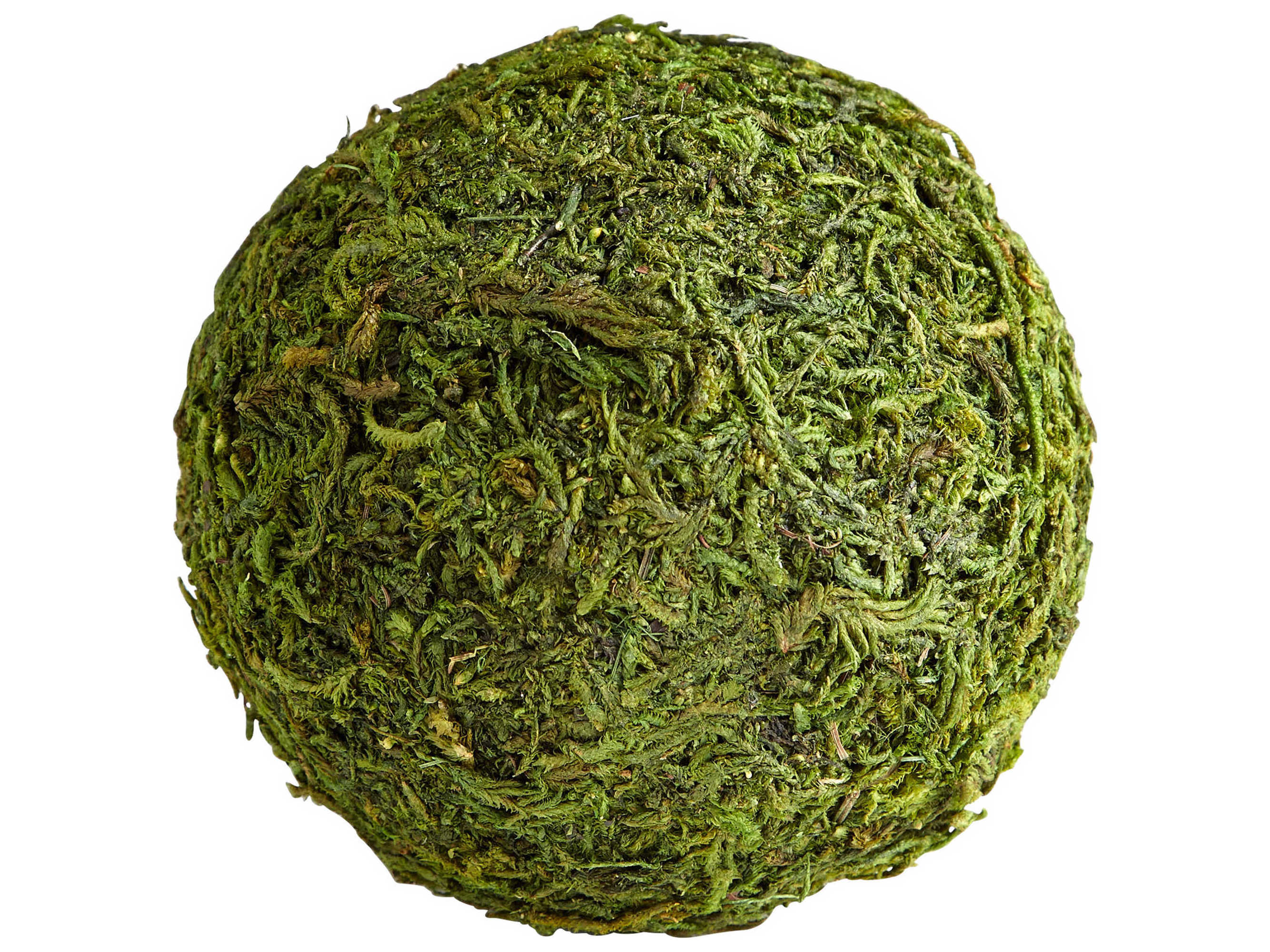 Cyan Design Bermuda Decorative Accent