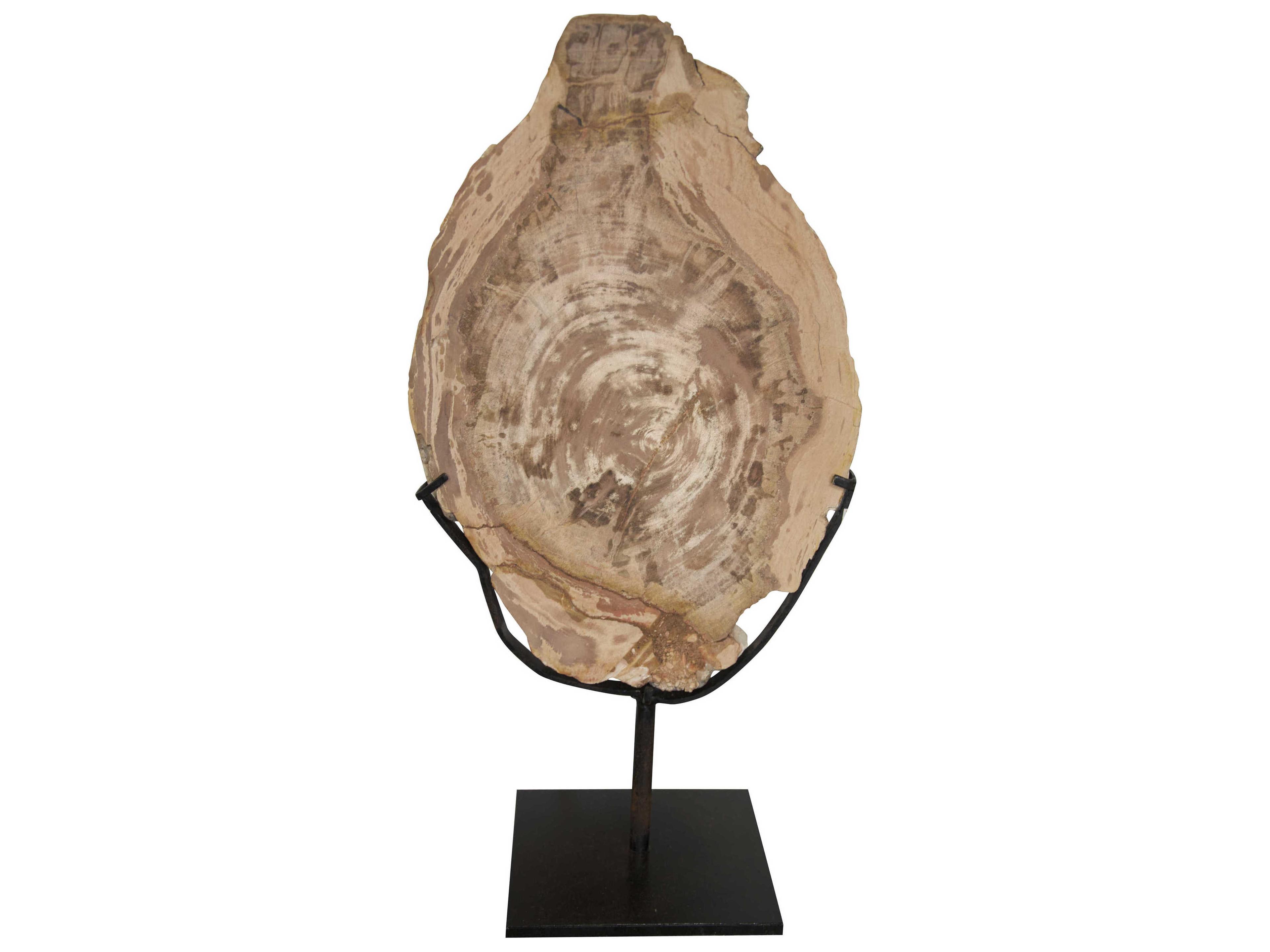 Noir Wood Fossil And Metal with Stand