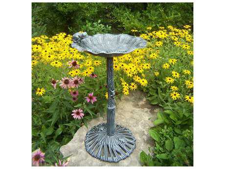Birdbath