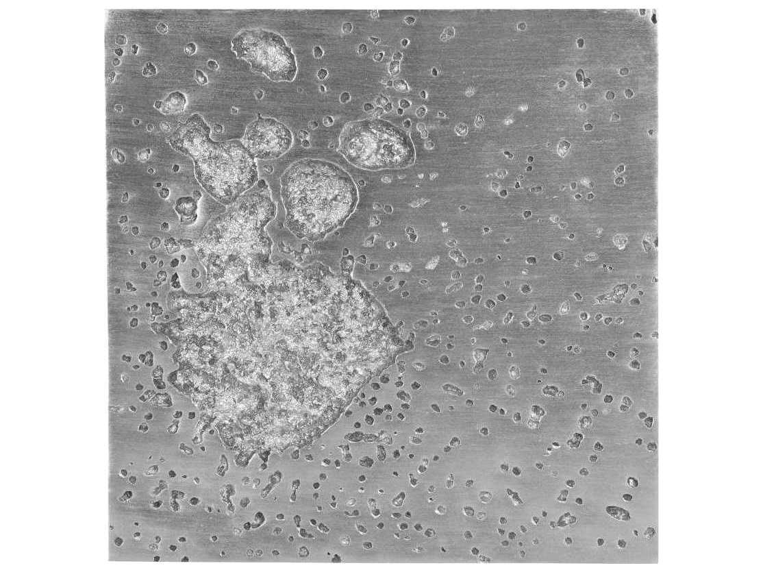 Phillips Collection Metal Wall Art