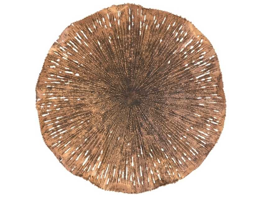 Phillips Collection Metal Wall Art