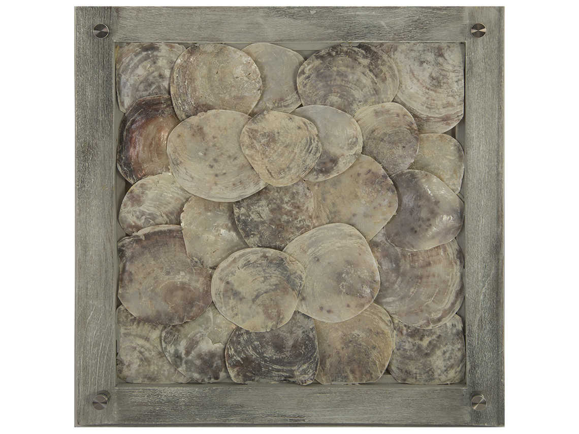 Phillips Collection Shell Shadow boxes