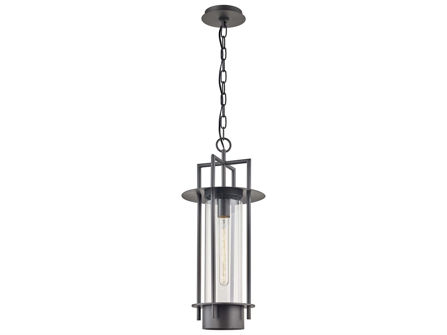Troy Lighting Carroll Park 1-Light Outdoor Hanging Light
