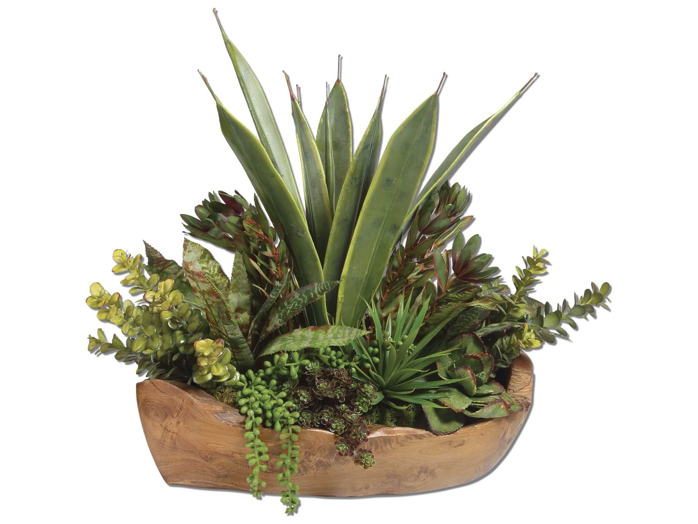Uttermost Salar Succulents in Teak Bowl
