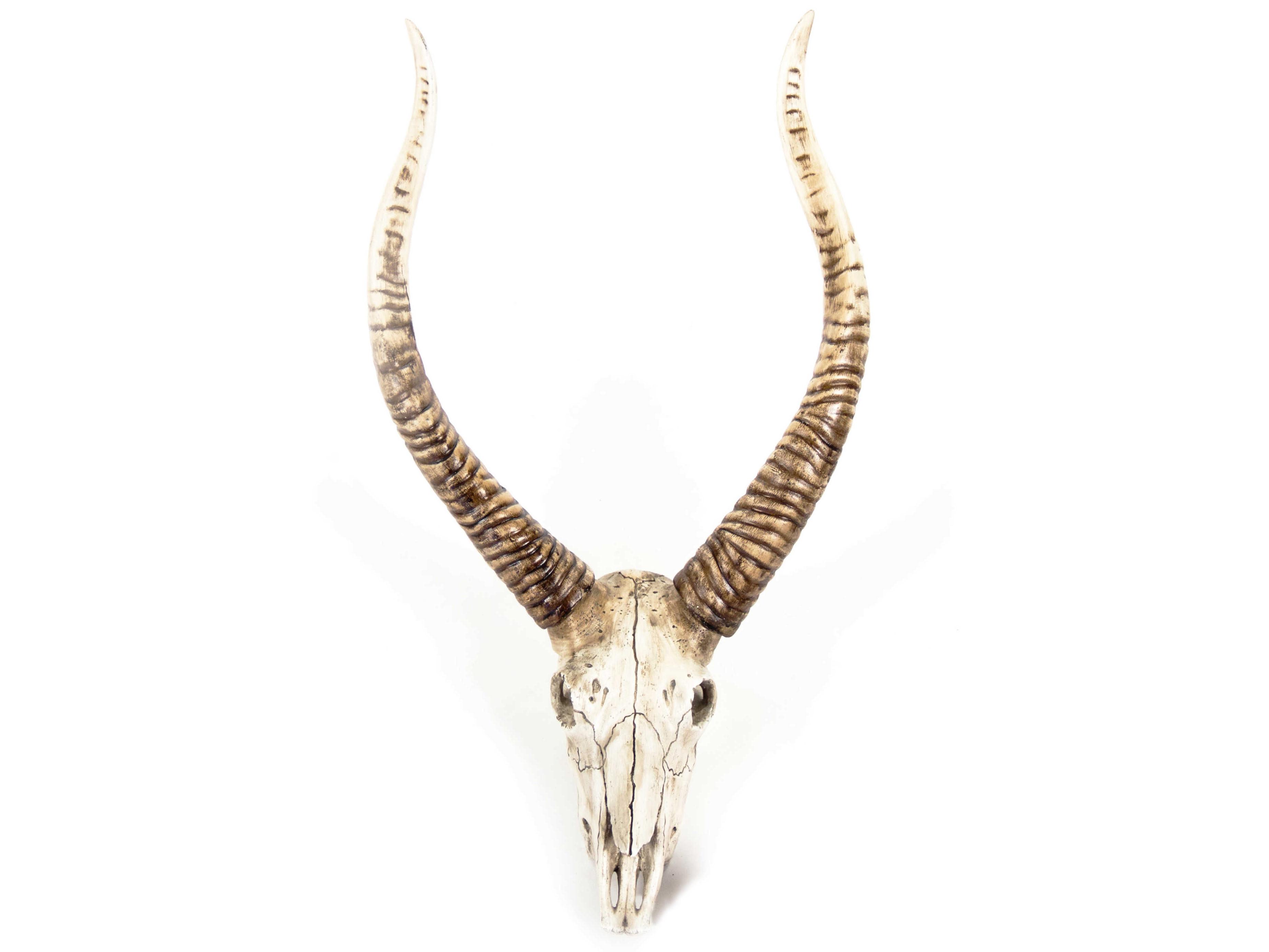Zentique Distressed White / Brown Goat Skull 3D Wall Art