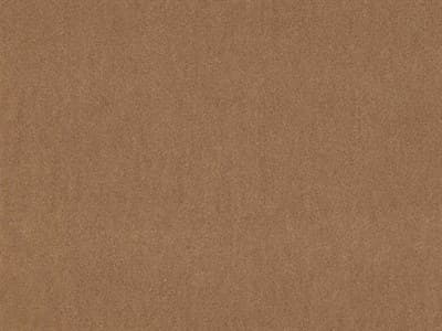 Upholstery: Alpaca 10 Fabric