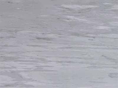 Table Top: Bardigilo Marble