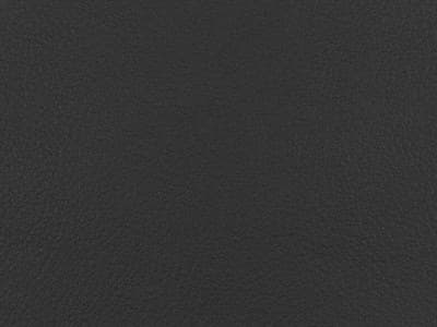 Frame Upholstery: Giada 101 Leather