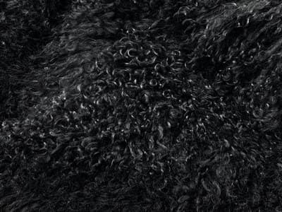 Upholstery: Black Fur