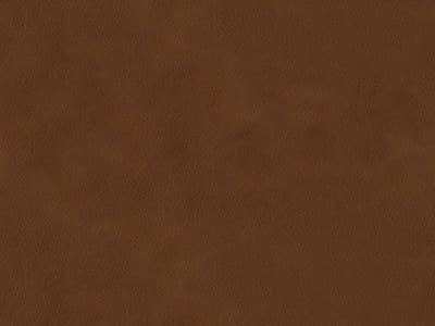 Sofa Leather: Leather 9629-55 - Protected