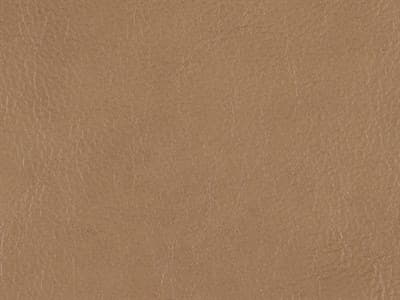 Upholstery: 376-025 - Leather