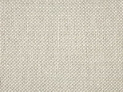 Sling: Augustine Oyster