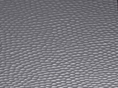 Top Finish: Hammered Stainless