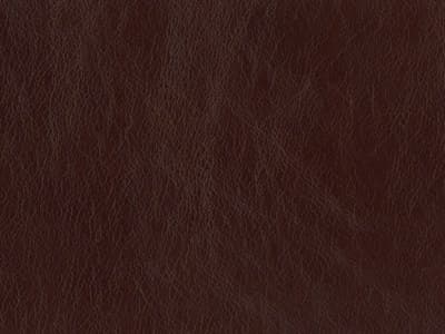 Leather: Royal Hazel