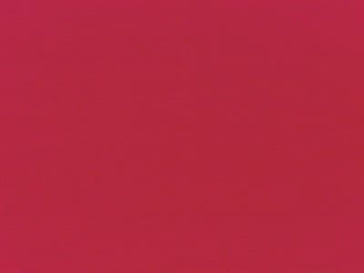 Fabric: Pacifica Red