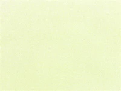 Fabric: Pacifica Natural