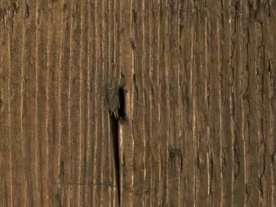 Finish: Medium Brown