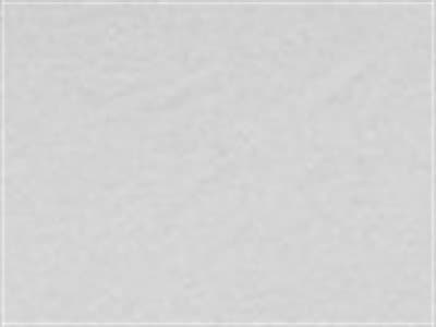 Umbrella Fabric: Dusty White