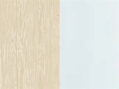 Finish: Bleached Beech Wood / Transparent polycarbon