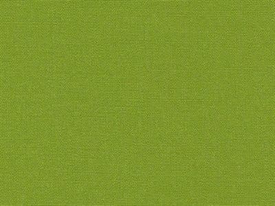 Fabric: Canvas Ginkgo