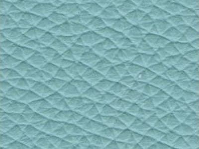 Upholstery: Tigri-Azzurro 5418 Leather