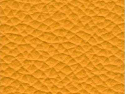 Upholstery: Tigri-Giallo 5340 Leather