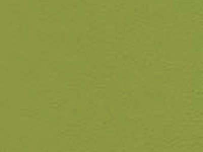 Seating Frame Finish: Green