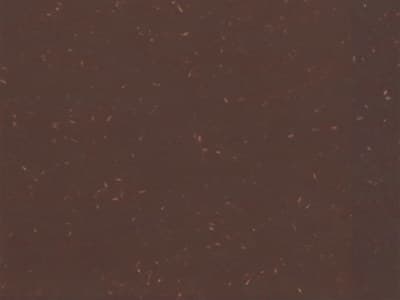 Finish: Brown - 100% Reclaimed polypropylene with wood fiber